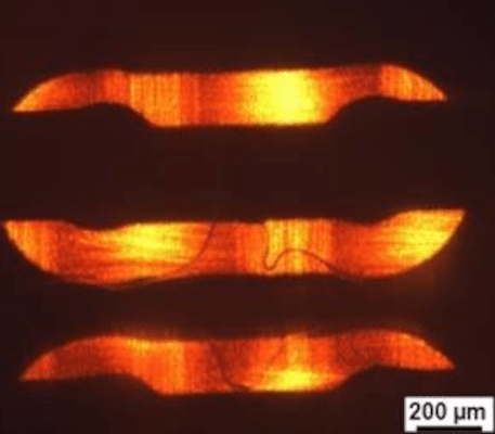 transmitted light image of circuit board 